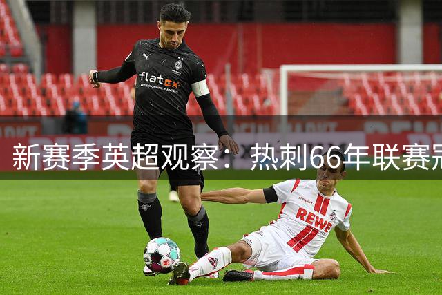 新赛季英超观察：热刺66年联赛冠军荒，还要等多久？