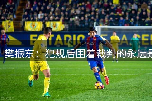 樊振东：犯规后围着裁判的永远是阿根廷队员
