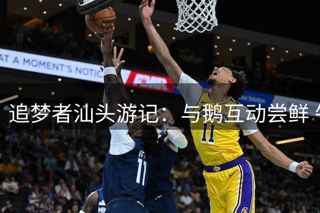追梦者汕头游记：与鹅互动尝鲜 牛肉丸妙用体验潮汕风味